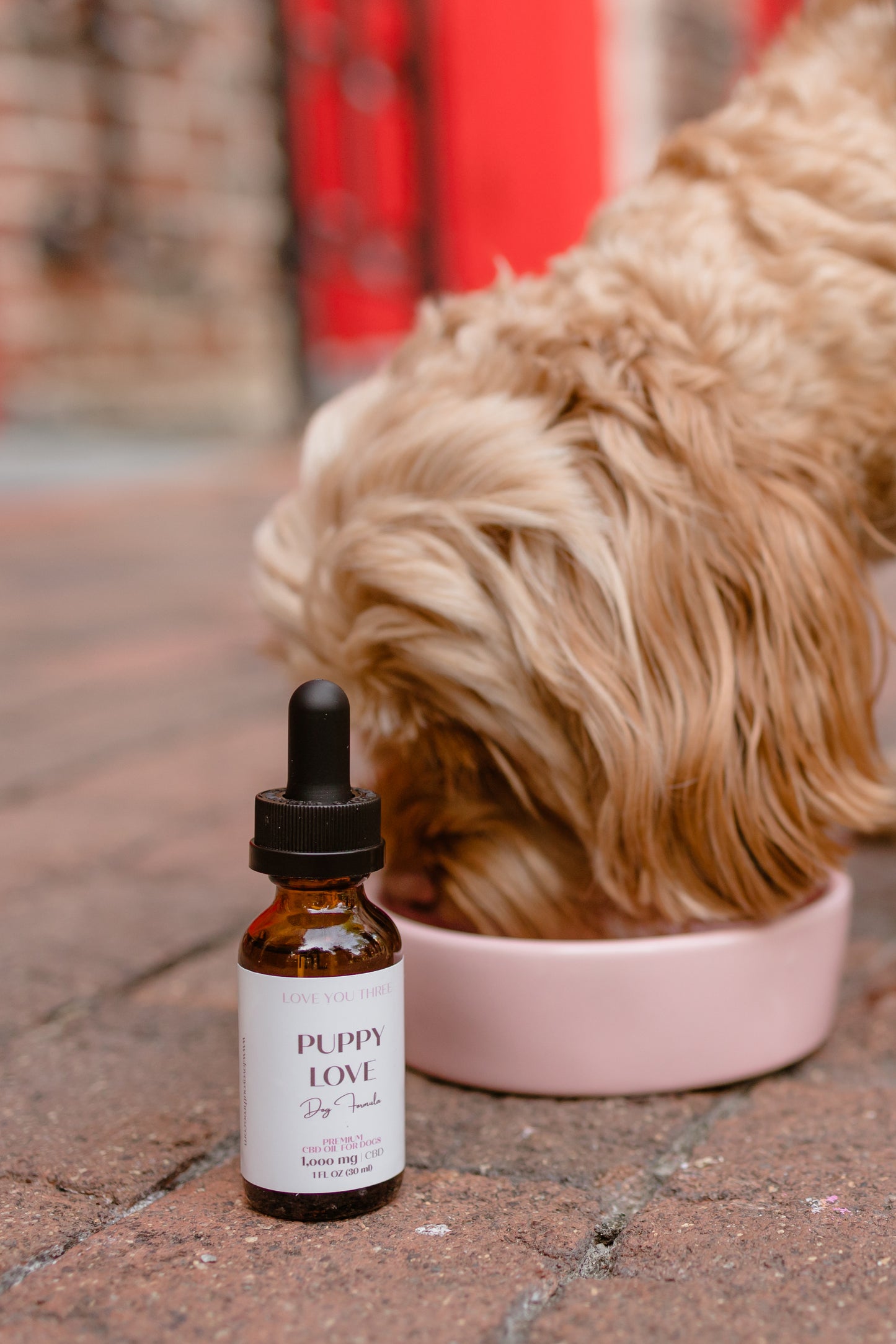 Puppy Love CBD Dog Tincture